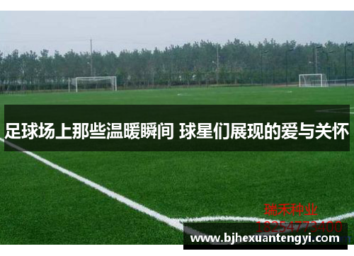 足球场上那些温暖瞬间 球星们展现的爱与关怀